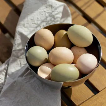 backyard eggs, a dozen